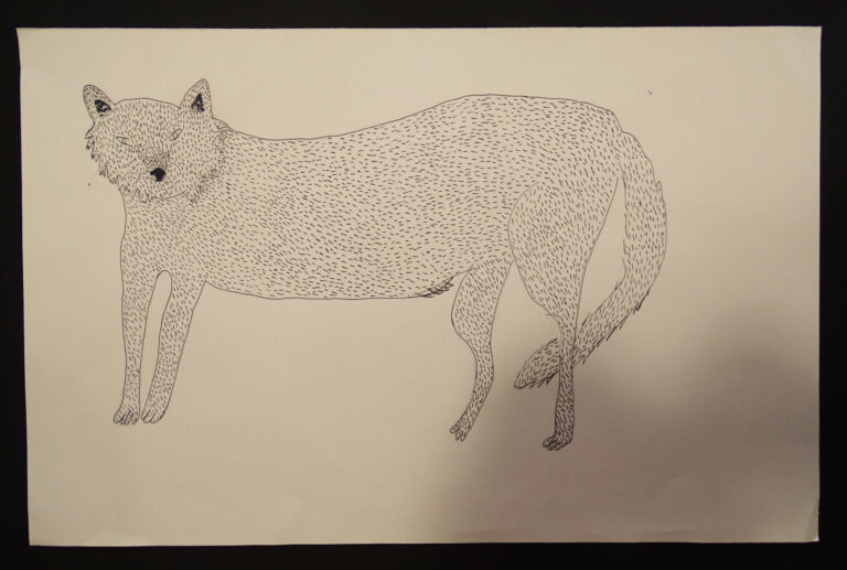 CamilleDELAGELeLoup-scaled-1