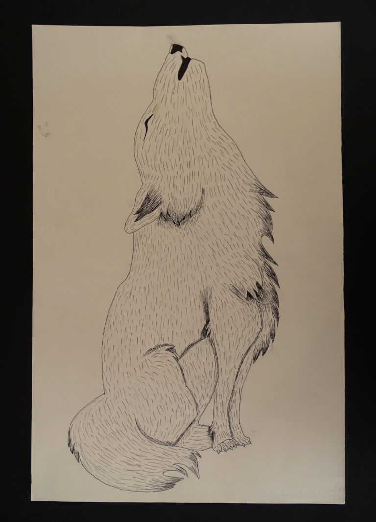 SophiaDamasLeLoup-scaled-1