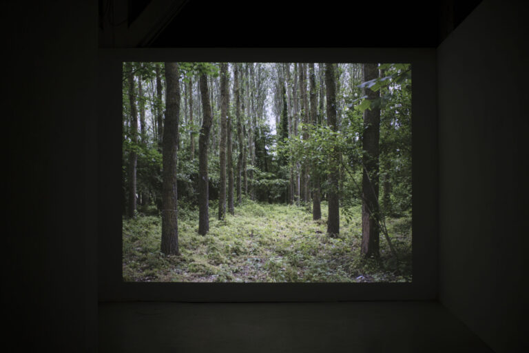 V1A8725BATVisuels-scaled-1