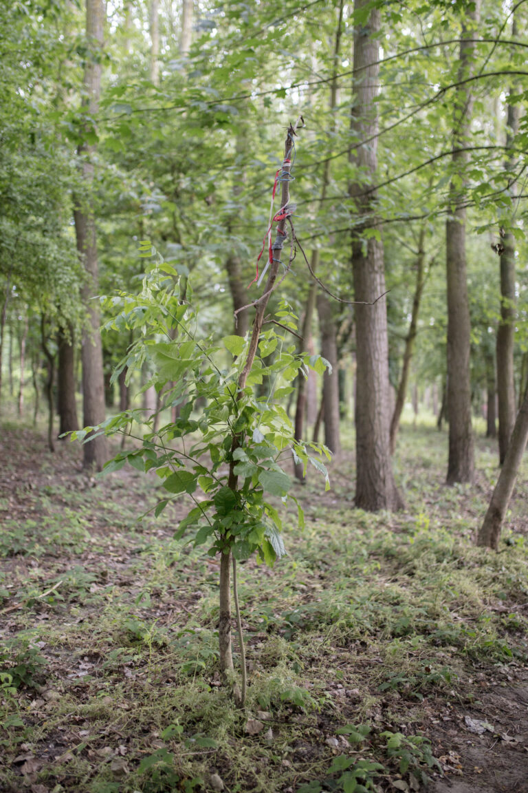 V1A9808_Visu-scaled-1