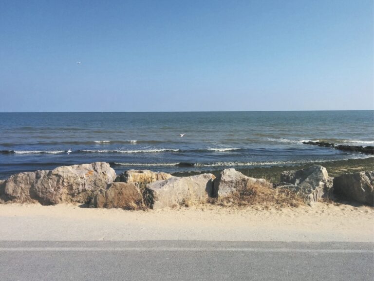 VUE_DU_BANC-scaled-2