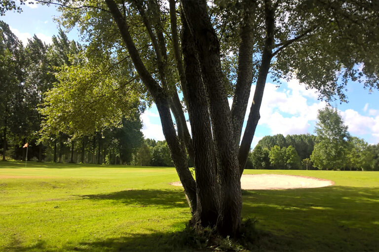 imagilaire_LebancdutrouNdeg17Golf-de-BegardCote-dArmor_pointdevue-1